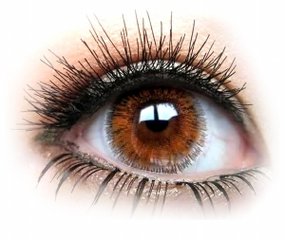 眼前會突然飄過一條線眨眨眼就消失是怎么回事?